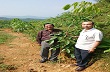 Trồng mới 304,51 ha cây cao su chịu lạnh 